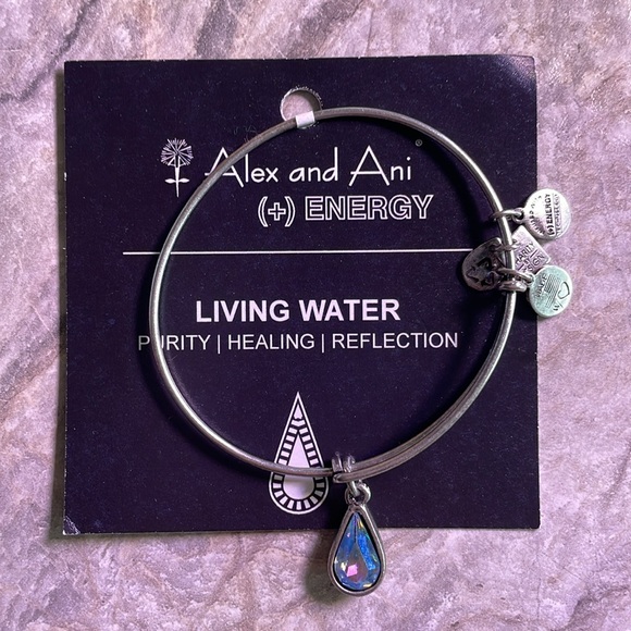 3 NEW Alex and Ani Bangles (+) ENERGY Bracelets - Picture 7 of 8